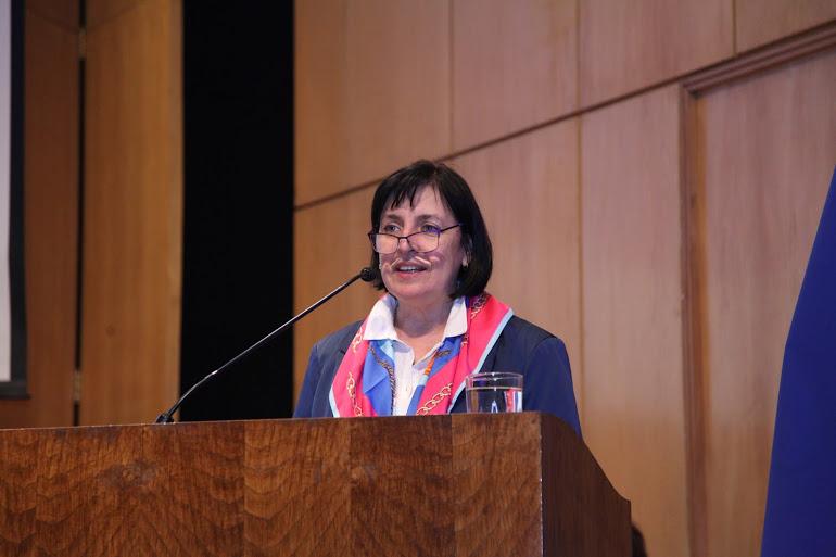 Académica Alicia Salomone, directora del Departamento de Postgrado y Postítulo de la Universidad de Chile.