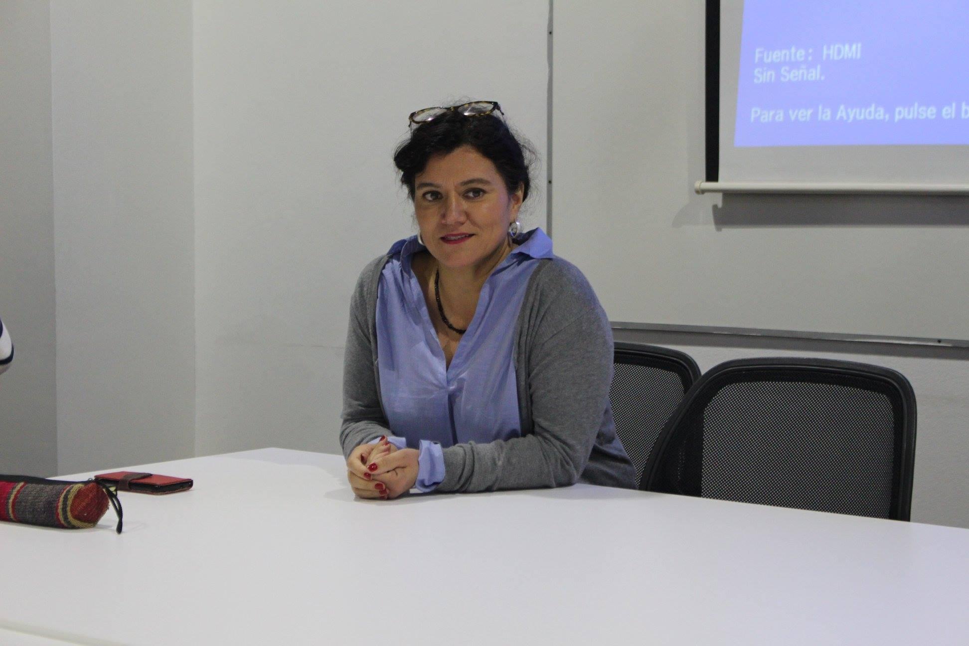La académica y Directora del INVI, Paola Jirón, encabeza el proyecto junto a otros tres académicos.